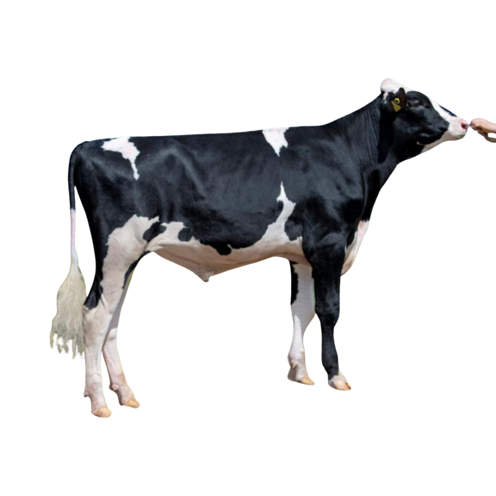 Keeper Sexed Semen