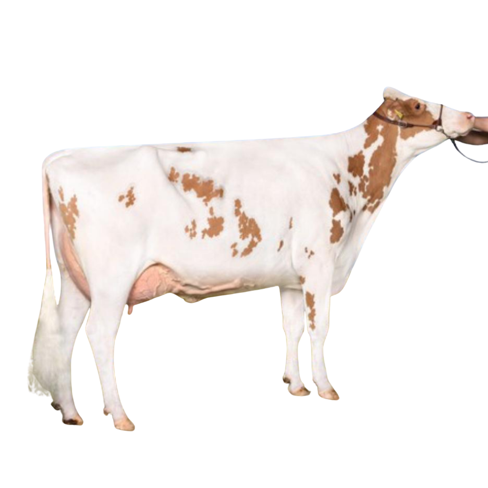 Keeper Sexed Semen