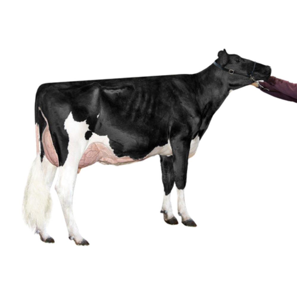 Atari Red Semen