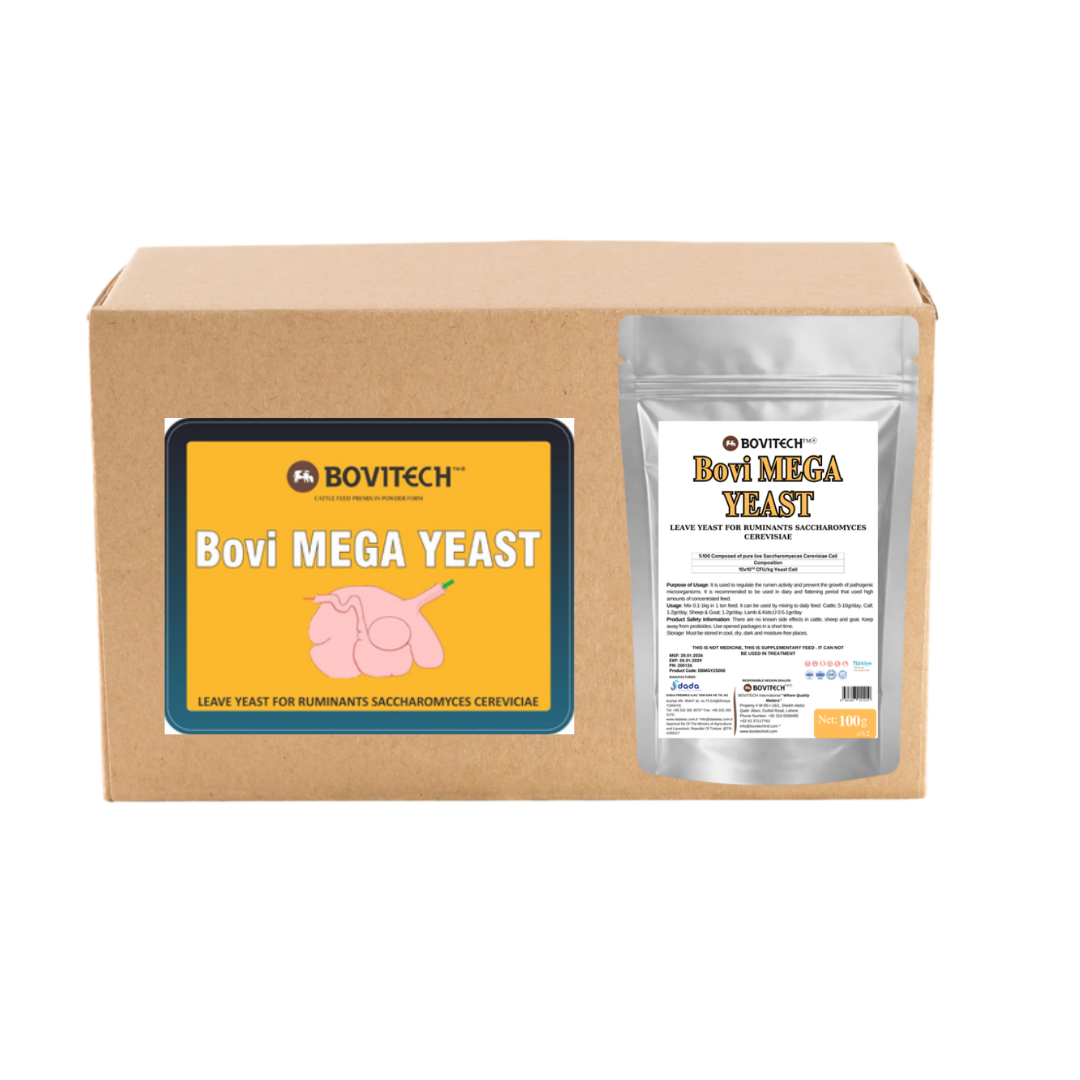 Bovi MEGA YEAST   – Ultra-Concentrated Live Yeast Rumen Regulator for Livestock